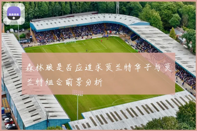 森林狼是否应追求莫兰特华子与莫兰特组合前景分析