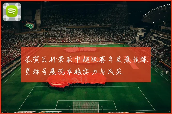 恭贺瓦科荣获中超联赛年度最佳球员称号展现卓越实力与风采