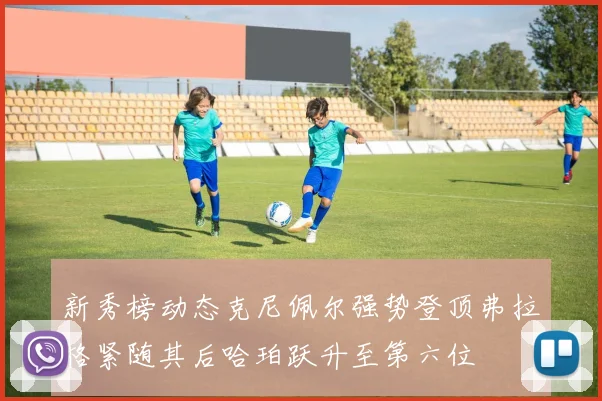 新秀榜动态克尼佩尔强势登顶弗拉格紧随其后哈珀跃升至第六位