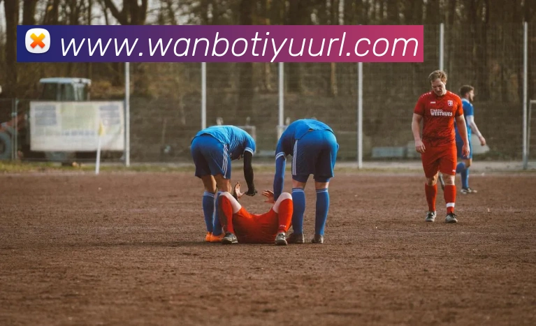 万博体育服务体系